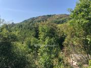 Eladó 764 m2-es építési telek Dunabogdány, Kutyahegy