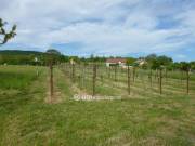 Eladó 3121 m2-es építési telek Lesenceistvánd, Csendes