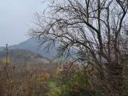 Eladó 5733 m2-es építési telek Tapolca, zártkert