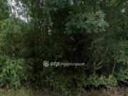Eladó 720 m2-es építési telek Bicske, erdős részen található