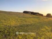 Eladó 67816 m2-es építési telek Etyek, Pap-rét