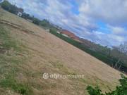 Eladó 2576 m2-es építési telek Napkor, Főút