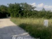 Eladó 1077 m2-es építési telek Bőny, Erdő mellett