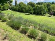 Eladó 4905 m2-es építési telek Biatorbágy, Biatorbágy