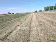 Eladó 4000 m2-es építési telek Jászberény, Város széle.