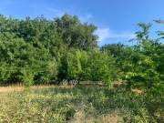 Eladó 593 m2-es építési telek Balatonalmádi, Külterület