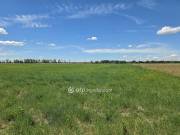 Eladó 38146 m2-es szántóföld, legelő Dömsöd, Külterület