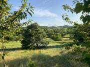 Eladó 22175 m2-es építési telek Piliscsaba, Márialiget