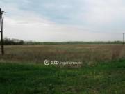 Eladó 28342 m2-es építési telek Röszke, M5 közelében a röszkei út mellett