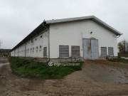 Eladó 5000 m2-es gyárépület Mezőhegyes, külterület