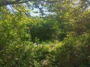 Eladó 826 m2-es építési telek Bicske, Zöldövezet