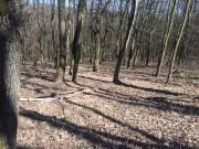 Eladó 1129 m2-es építési telek Kismaros, Gólyahír utca