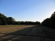 Eladó 7390 m2-es külterületi telek Nyíregyháza, Bozót utca