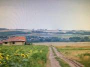 Eladó 6000 m2-es külterületi telek Pécel