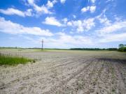 Eladó 40000 m2-es külterületi telek Pusztavacs, Dánszentmiklósi út