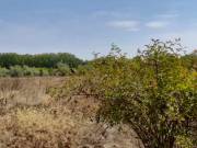Eladó 1000 m2-es külterületi telek Besenyszög, Nincs utca