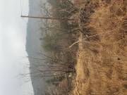 Eladó 1461 m2-es építési telek Szécsény