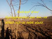 Eladó 5060 m2-es külterületi telek Nagyhalász