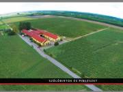 Eladó 500 m2-es mezőgazdasági ingatlan Baja