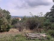 Eladó 1431 m2-es építési telek Pákozd, Szegfű utca