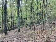 Eladó 1048 m2-es egyéb telek Kismaros, Hangafű utca