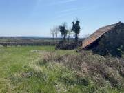 Eladó 6658 m2-es külterületi telek Szentantalfa
