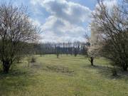 Eladó 230000 m2-es külterületi telek Debrecen