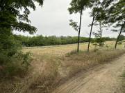 Eladó 720 m2-es építési telek Dabas