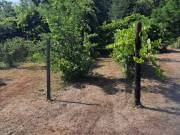 Eladó 900 m2-es külterületi telek Hajdúsámson, Mécses utca
