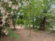 Eladó 1920 m2-es külterületi telek Tök