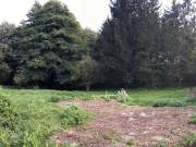 Eladó 3900 m2-es építési telek Bagod, Vitenyédi utca