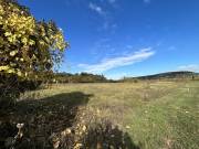 Eladó 14170 m2-es külterületi telek Kővágóörs