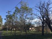 Eladó 1620 m2-es telek Gyűrűs, Nincs utca