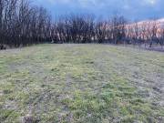 Eladó 1668 m2-es építési telek Pilis