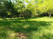 Eladó 825 m2-es üdülőtelek Szólád