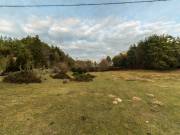 Eladó 23910 m2-es építési telek Nemesmedves
