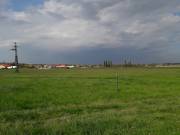 Eladó 16614 m2-es mezőgazdasági ingatlan Csákvár, Széchenyi utca