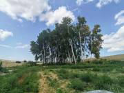 Eladó 35000 m2-es telek Bonyhádvarasd, Nincs utca