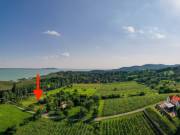 Eladó 5007 m2-es külterületi telek Balatonrendes