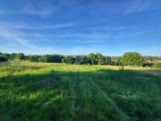 Eladó 800 m2-es építési telek Nézsa