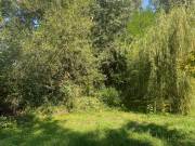 Eladó 7143 m2-es külterületi telek Göd, Nincs utca