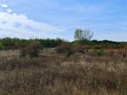 Eladó 800 m2-es telek Délegyháza, Nincs utca
