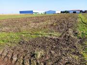 Eladó 2000 m2-es külterületi telek Jászberény, Nincs utca