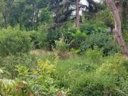 Eladó 1430 m2-es külterületi telek Perbál, Széchenyi utca