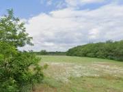 Eladó 7060 m2-es külterületi telek Délegyháza