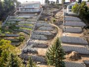 Eladó 1448 m2-es építési telek Szentendre