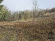 Eladó 7515 m2-es külterületi telek Zalaegerszeg