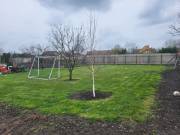 Eladó 685 m2-es építési telek Szeged