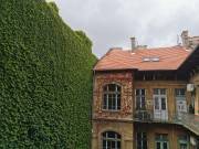 Eladó 65 m2-es téglalakás Budapest VIII. kerület