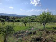 Eladó 6150 m2-es telek Vác, Egyházmöge dűlő